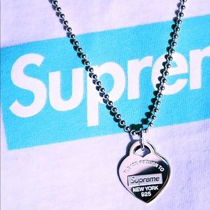 Supreme Tiffany And Co & Supreme Silver Necklace